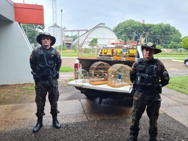 Patram apreende pássaros silvestres em cativeiro