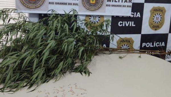 Polícia prende mulher com maconha e crack em Encantado