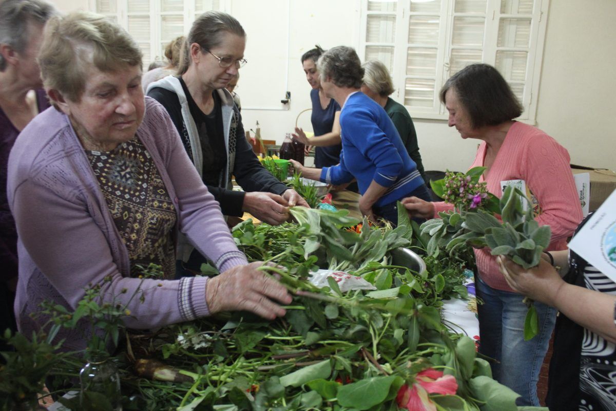 Evento aborda uso de plantas não convencionais