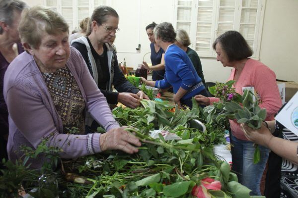 Evento aborda uso de plantas não convencionais