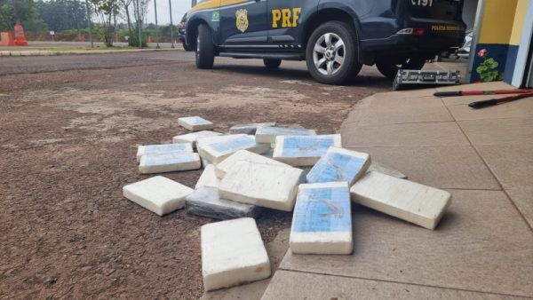 PRF apreende drogas avaliadas em mais de R$ 5 milhões em Lajeado 