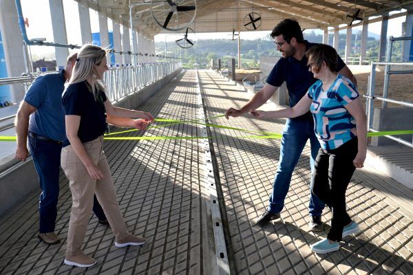 Nova estrutura moderniza área de alojamento de gado leiteiro
