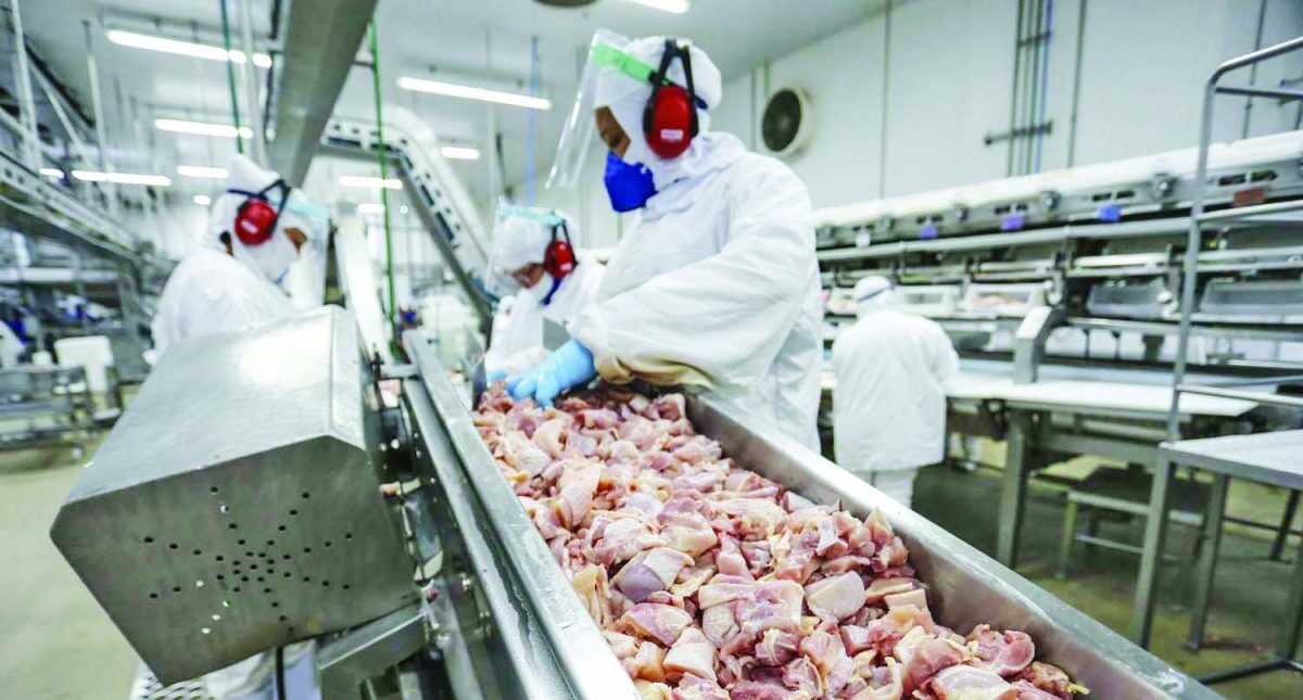 Saldo de empregos em novembro alerta sobre queda nas contratações