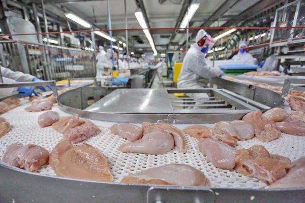 Exportações do Vale crescem quase 15% e somam 392,6 milhões de dólares
