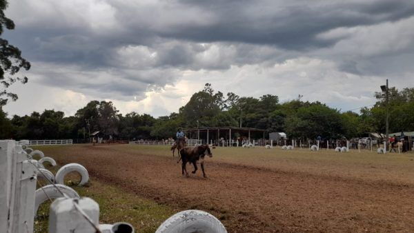 Rodeio atrai competidores de todo o RS ao CTG Estrela do Rio Grande