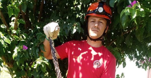 Homem encontra serpente no guarda-roupa em Encantado