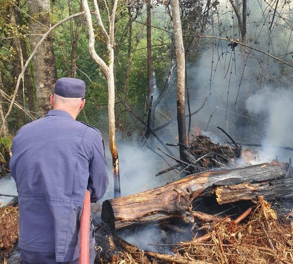 Incêndio atinge 25 mil m² de vegetação em Estrela