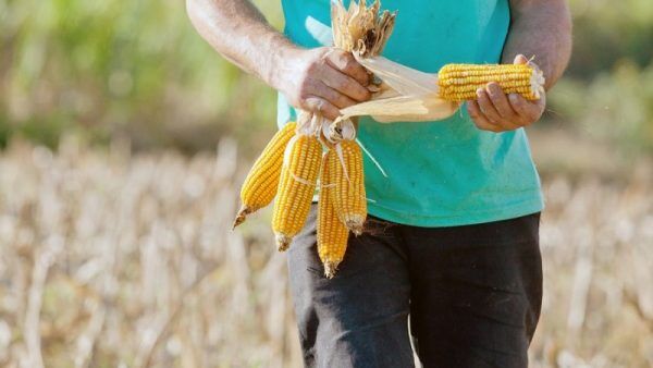 Legislativo promove primeira Semana Municipal da Agricultura Familiar