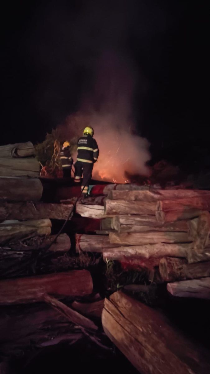 Incêndio atinge madeireira em Forquetinha
