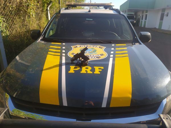 PRF prende homem com pistola de uso restrito em Lajeado