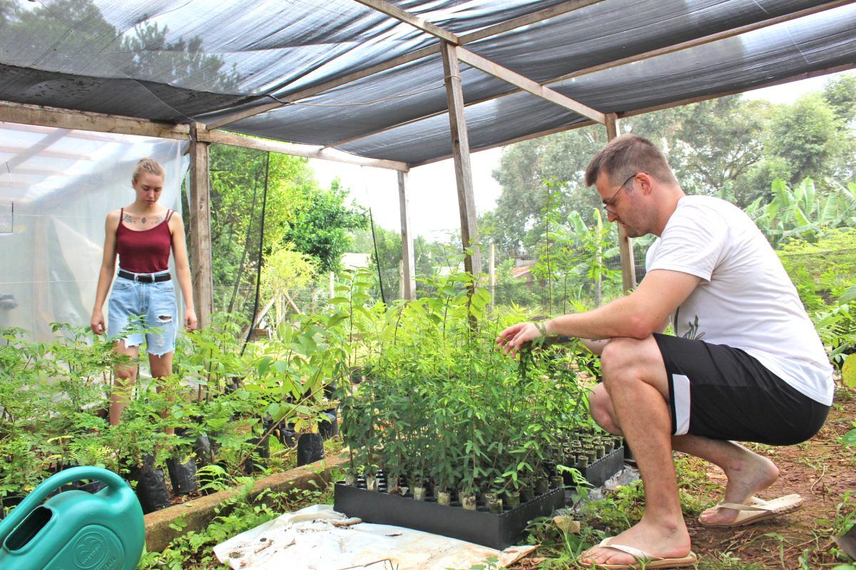 Viveiro produz mudas próprias à recuperação da mata ciliar