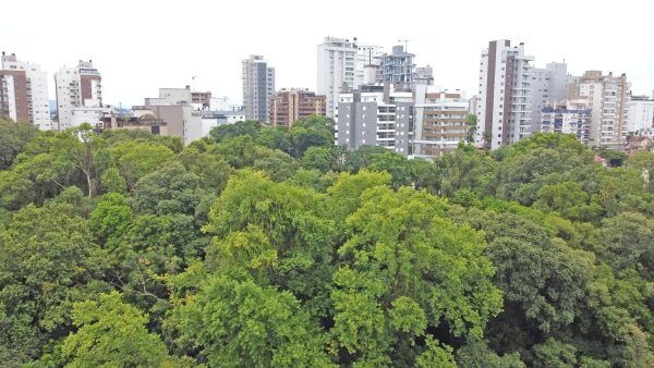 Verticalização avança e bairros são desafiados ao desenvolvimento sustentável
