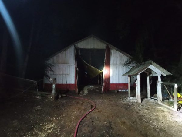 Incêndio atinge aviário em Encantado