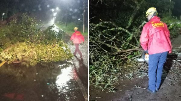 Vento forte destelha pelo menos três residências em Venâncio Aires