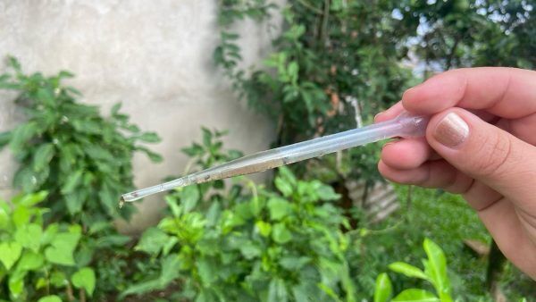 Aumento de casos amplia ações de combate a dengue em Venâncio Aires