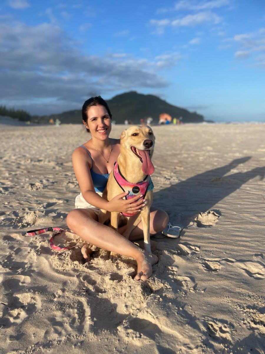 “Animais sofrem e merecem dignidade”