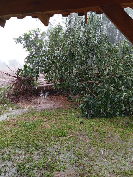 Temporal causa estragos em Santa Cruz do Sul e região
