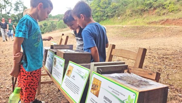 Escola é destaque na promoção de projetos sustentáveis