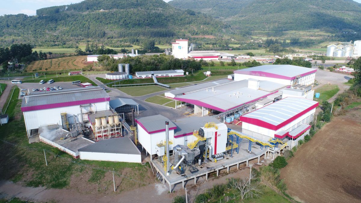 Dália recebe habilitação de exportação para as Filipinas