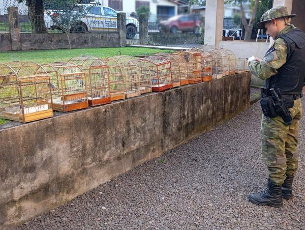 Policiais militares ambientais apreendem pássaros silvestres