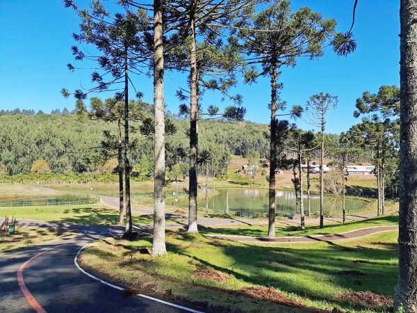 Polícia investiga abandono de recém-nascido em Sério 
