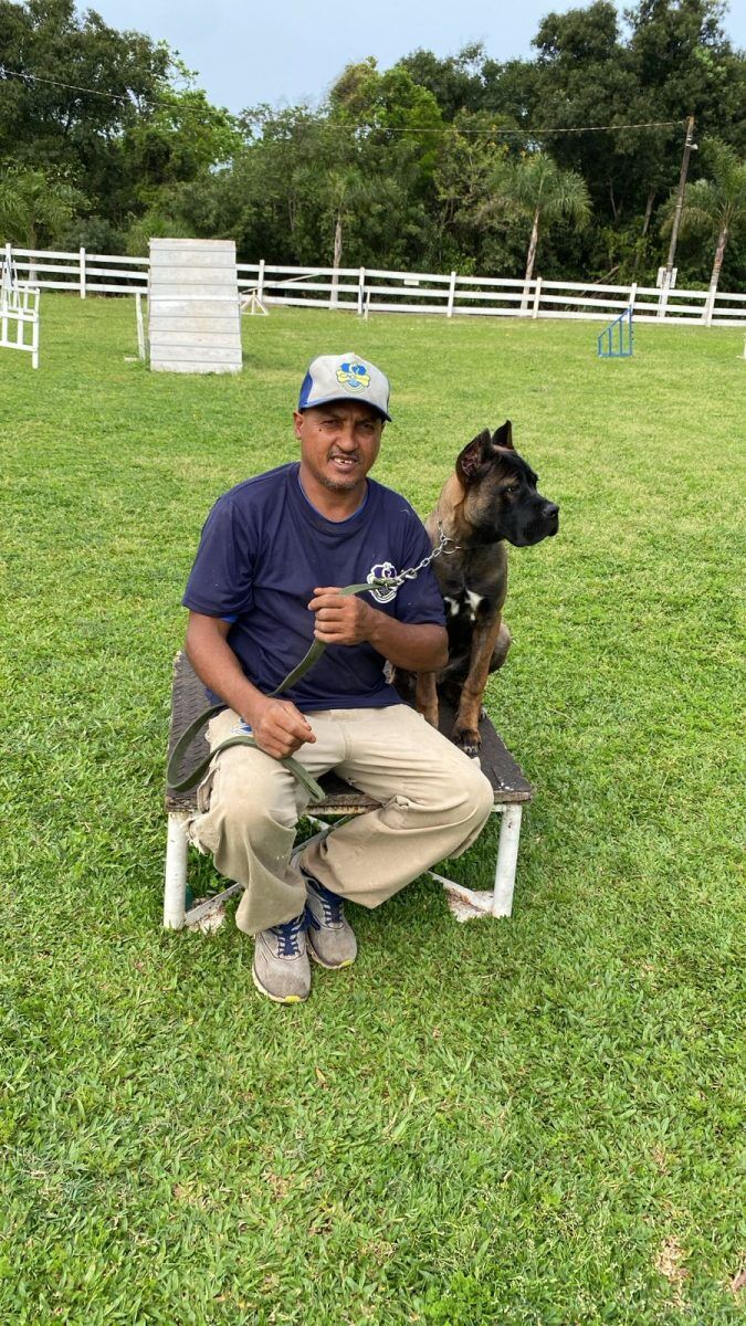 “O cachorro não guarda rancor”