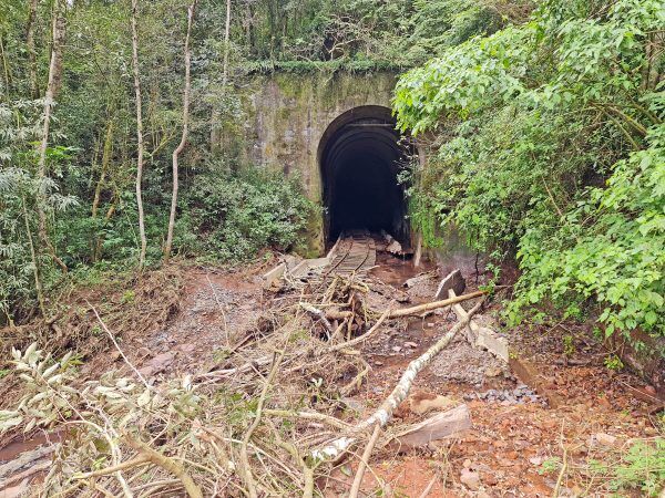 Estado encampa defesa do Vale pela volta do trem turístico
