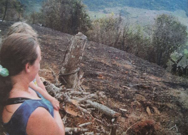 Há 20 anos, fogo destruía 40 hectares em Forquetinha