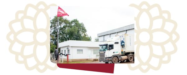 Dália acompanha crescimento de exportações de carne suína e fecha 2024 com aumento significativo