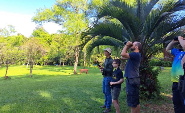 Lajeado promove observação guiada de aves no Jardim Botânico
