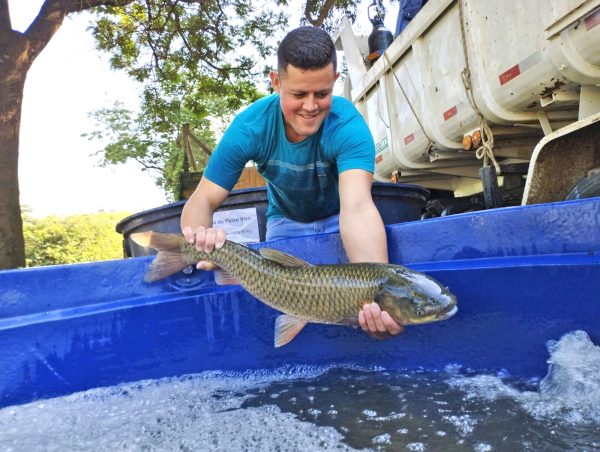 Venda de peixes deve dobrar às vésperas da Sexta-feira Santa