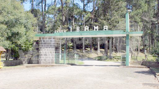Há 20 ano, Amturvales criava o Parque da Erva-mate