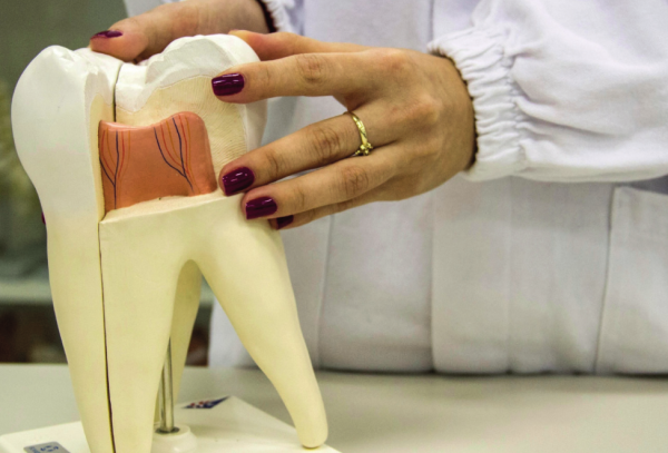 Curso de odontologia da Univates comemora 10 anos