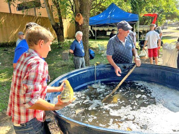Cidades organizam feiras para incentivar consumo de peixe
