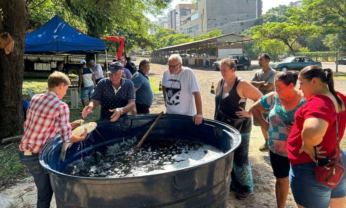 Feira do Peixe Vivo de Lajeado ocorre nesta sexta-feira