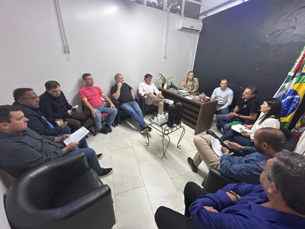 Concessão da Lagoa voltará à Câmara