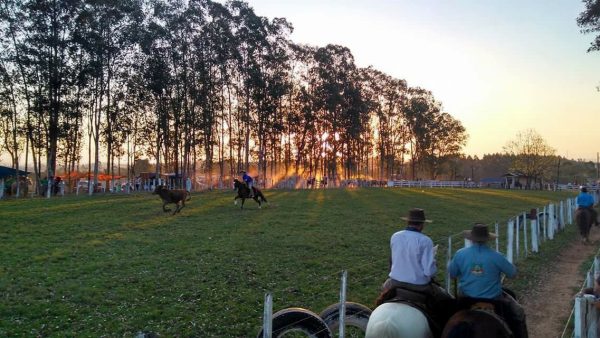 Rodeio Crioulo do CTG Lenço Branco prepara três dias de evento