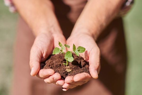 Mãos na terra e olhar ao meio ambiente