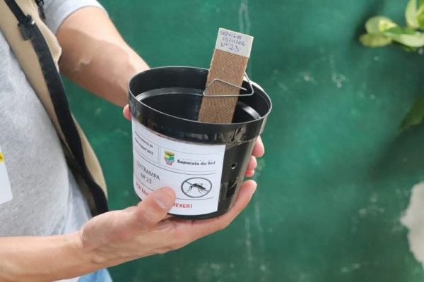 Armadilhas apontam aumento de 20% na presença de ovos de Aedes Aegypti no município
