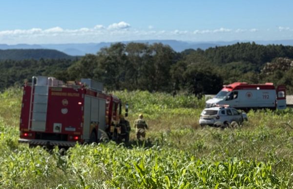 Acidente com árvore mata trabalhador em Santa Clara do Sul