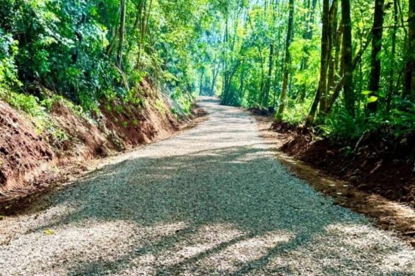Melhorias em estradas impulsionam o escoamento agrícola em Forquetinha