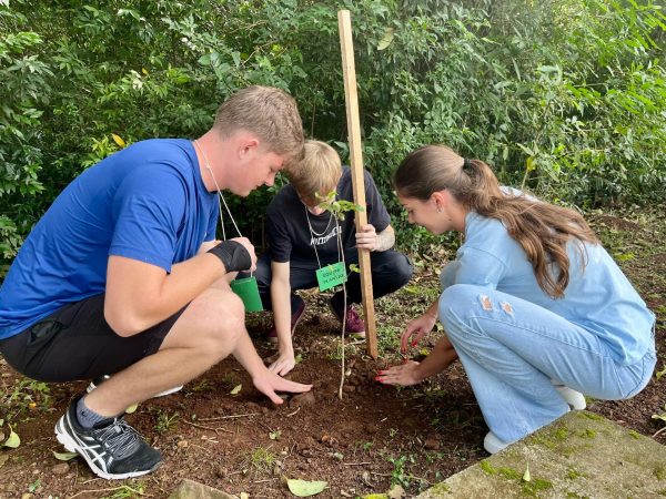 Estudantes realizam ação ecológica em Parque Linear
