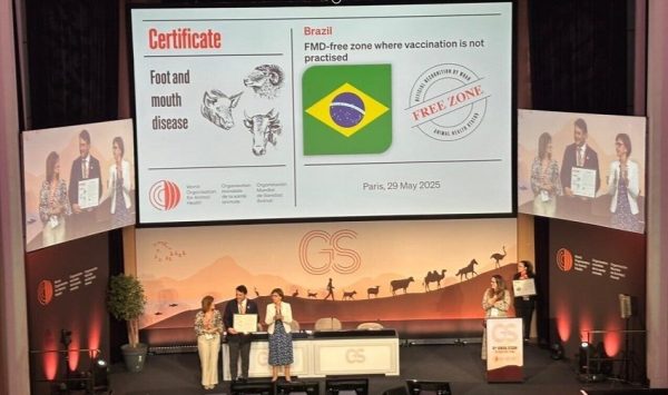 Brasil recebe certificado internacional como país livre de aftosa sem vacinação