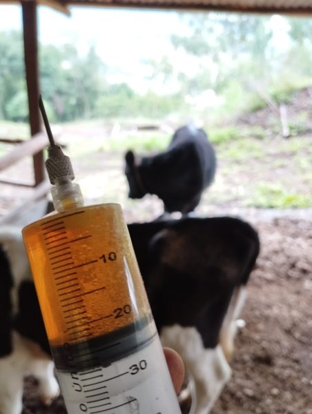 Onda de frio reabre alerta sobre hipotermia