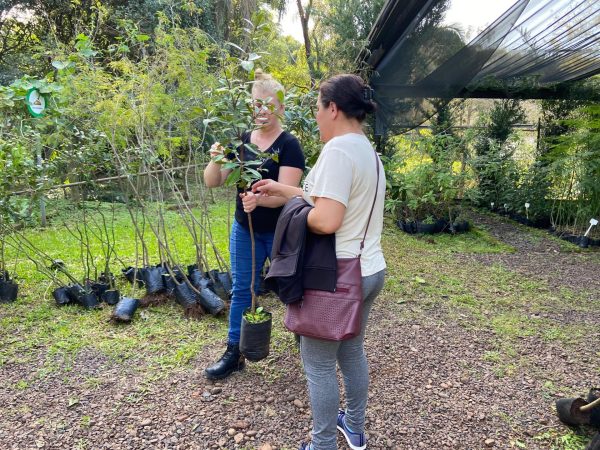 Lajeado prepara programação da Semana do Meio Ambiente
