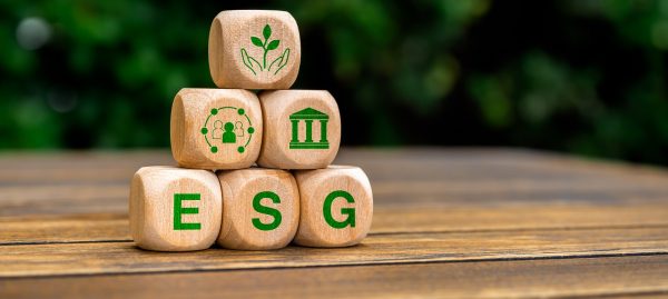ESG: acessível e essencial para todas as empresas