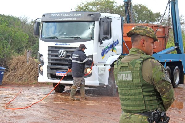 Gripe aviária preocupa setor e reduz exportações