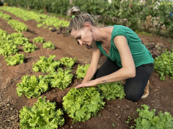 Orgânicos na merenda: saúde e sustentabilidade no prato