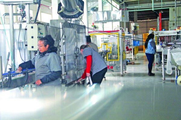 Assembleia Legislativa apela por mais prazo para empresas