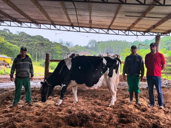 Granja da região vira referência em genética